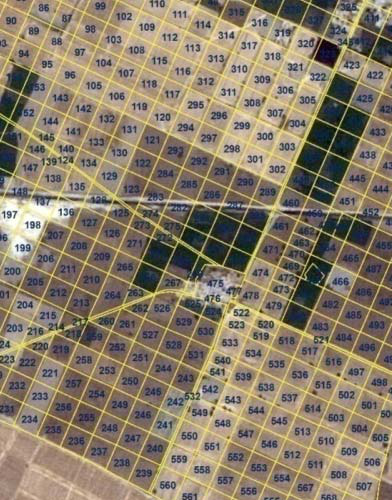 Web GIS and APIs for government and utilities